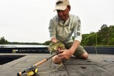 Lobs Large Bugs – Feeds Bass in their Faces