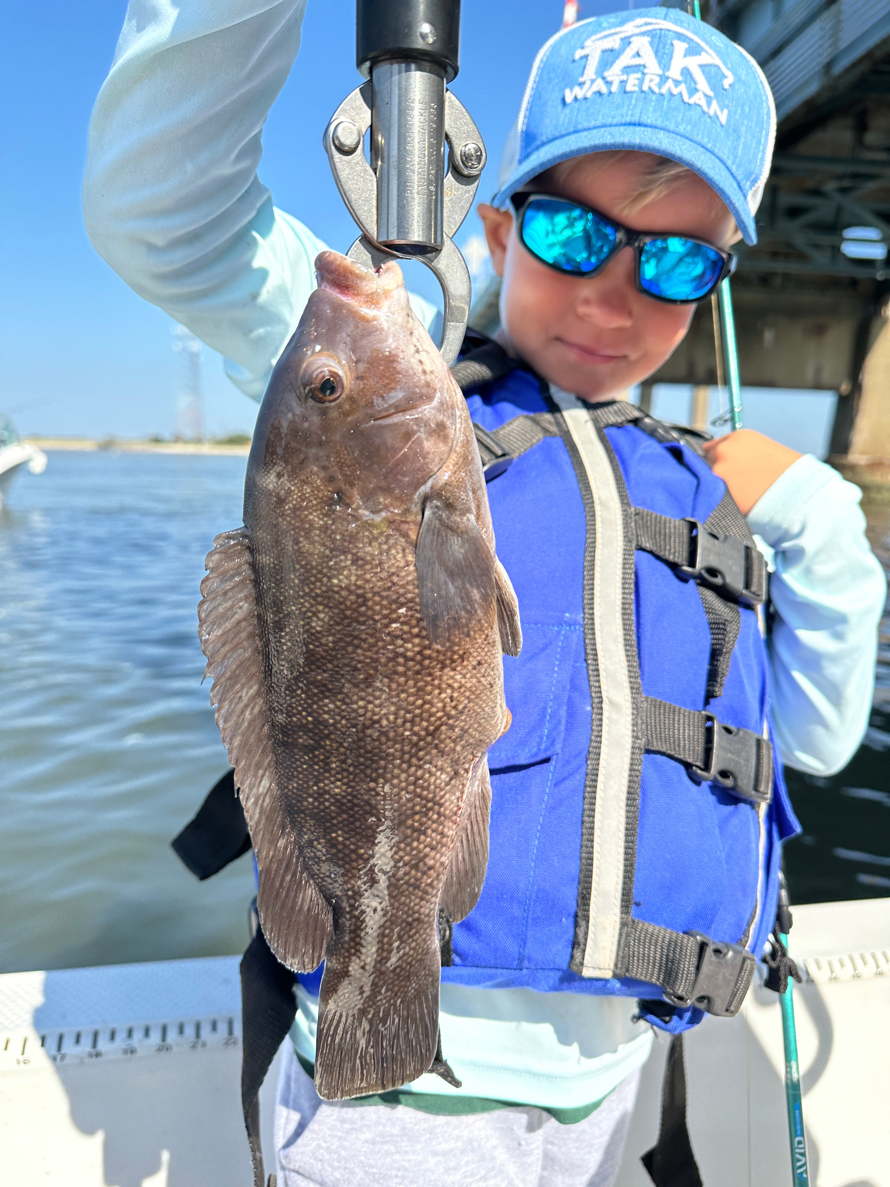 Avid Series Inshore