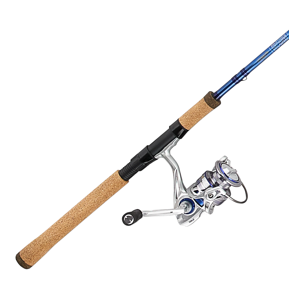 Sole Saltwater Sole Saltwater