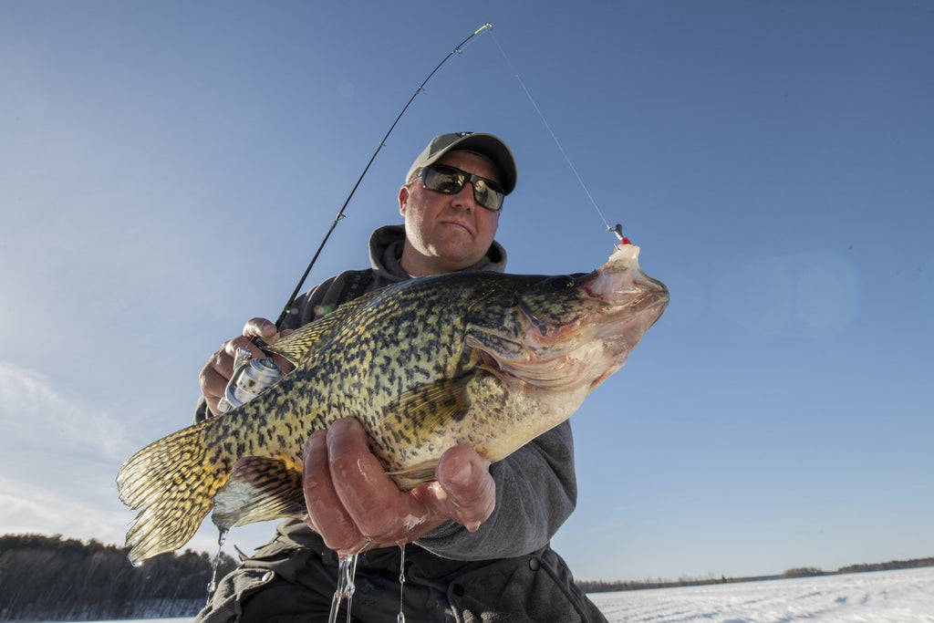 Ice Anglers, Meet Your Favorite New Magic Wand: CCI Perch Seeker - St.  Croix Rod