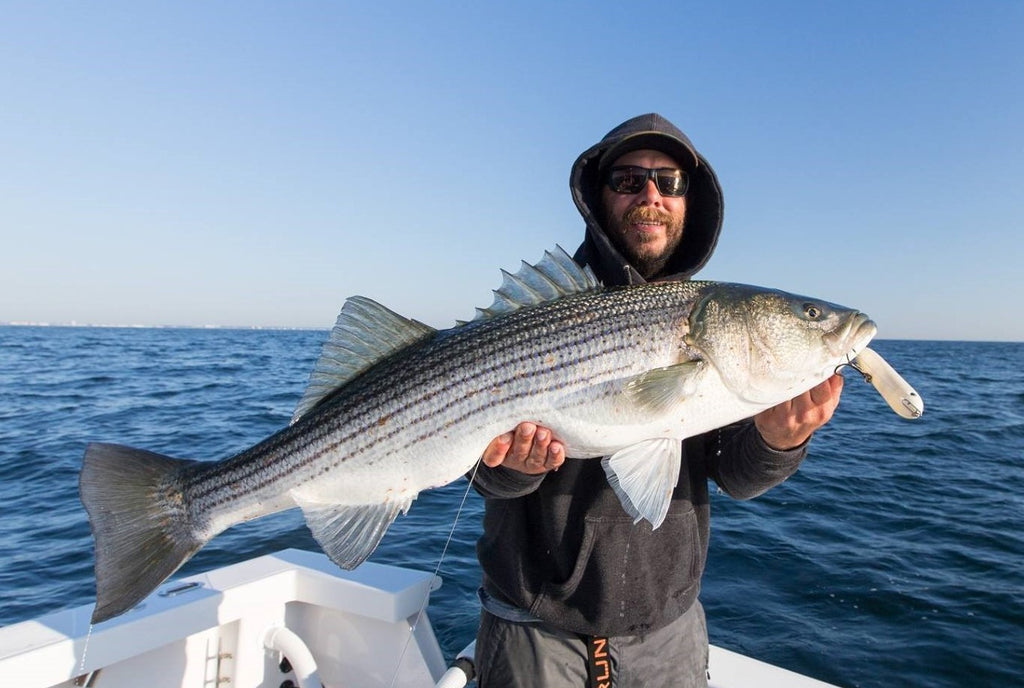 A New Fishing Season Set to Kick Off Along the Northeast Coast - St. Croix  Rod