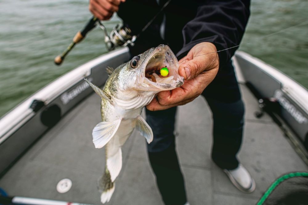 Top Lures for Jigging the Detroit River