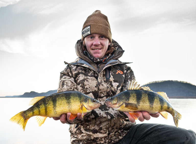 Perch Ice-Fishing Tips and Strategies