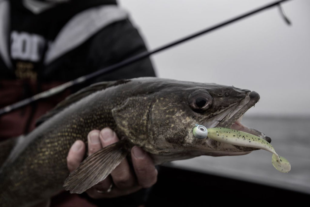 Spring into Open-Water Walleyes