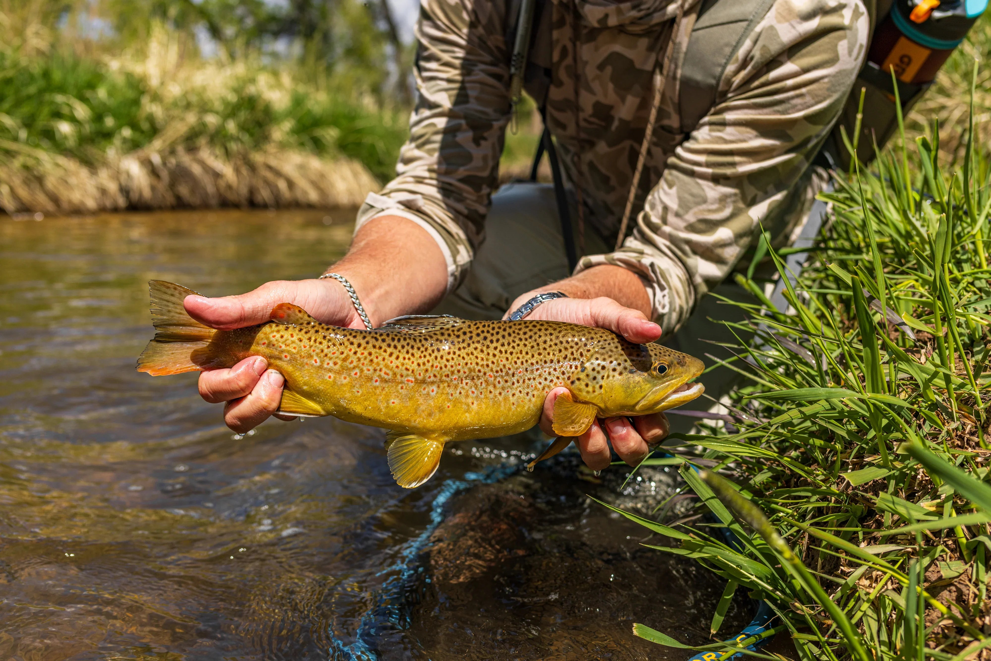 Panfish & Trout