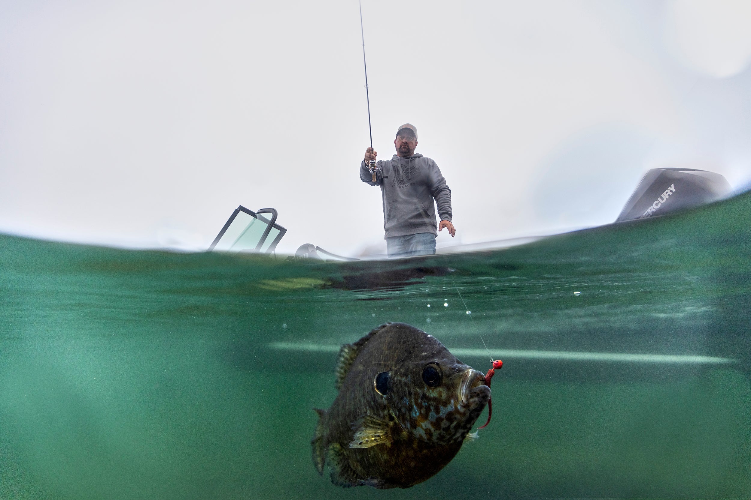 Avid Series Panfish St. Croix Rod Avid Series Panfish St. Croix Rod