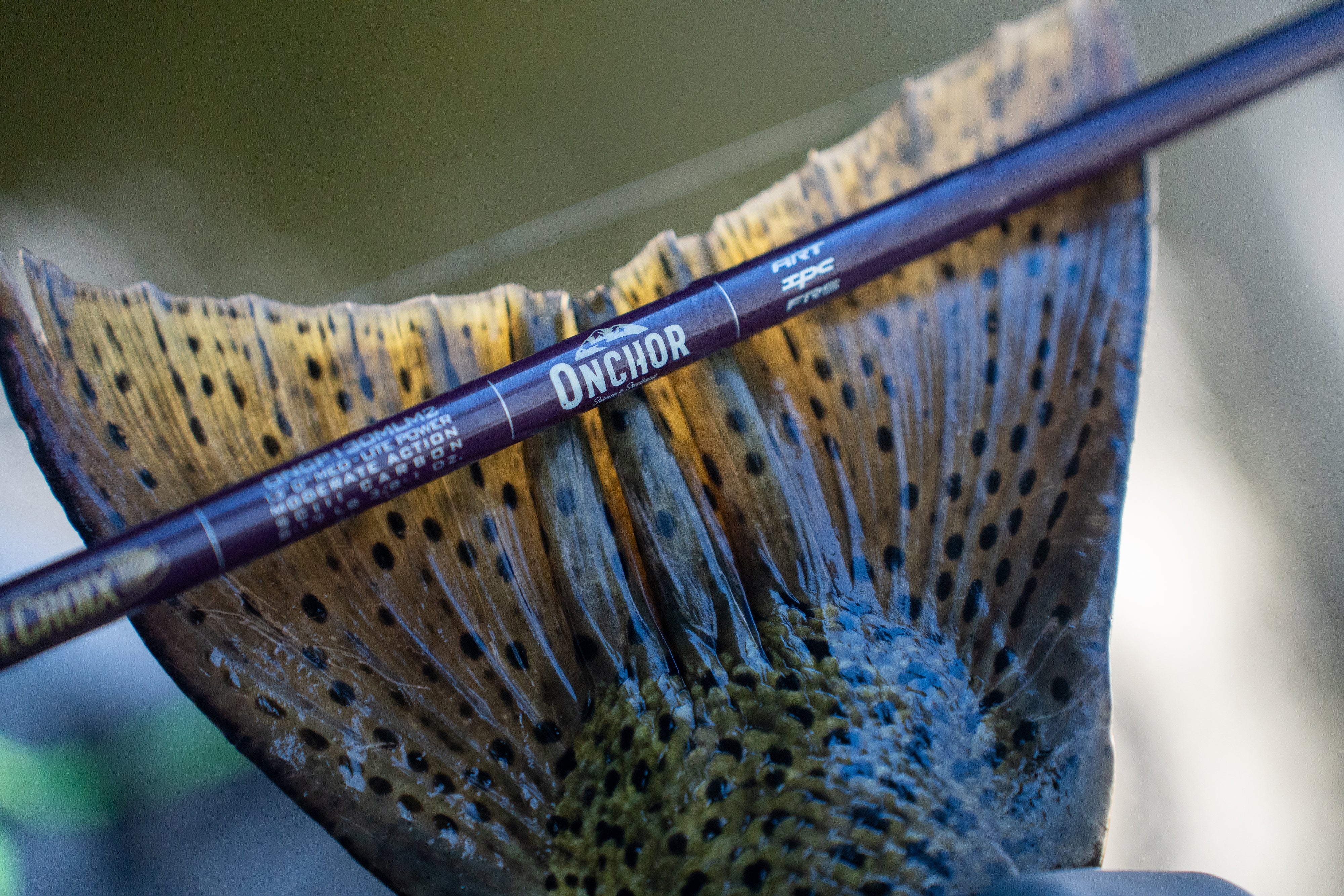 st croix 9foot 6inch steelhead rod Onchor – St. Croix Rod