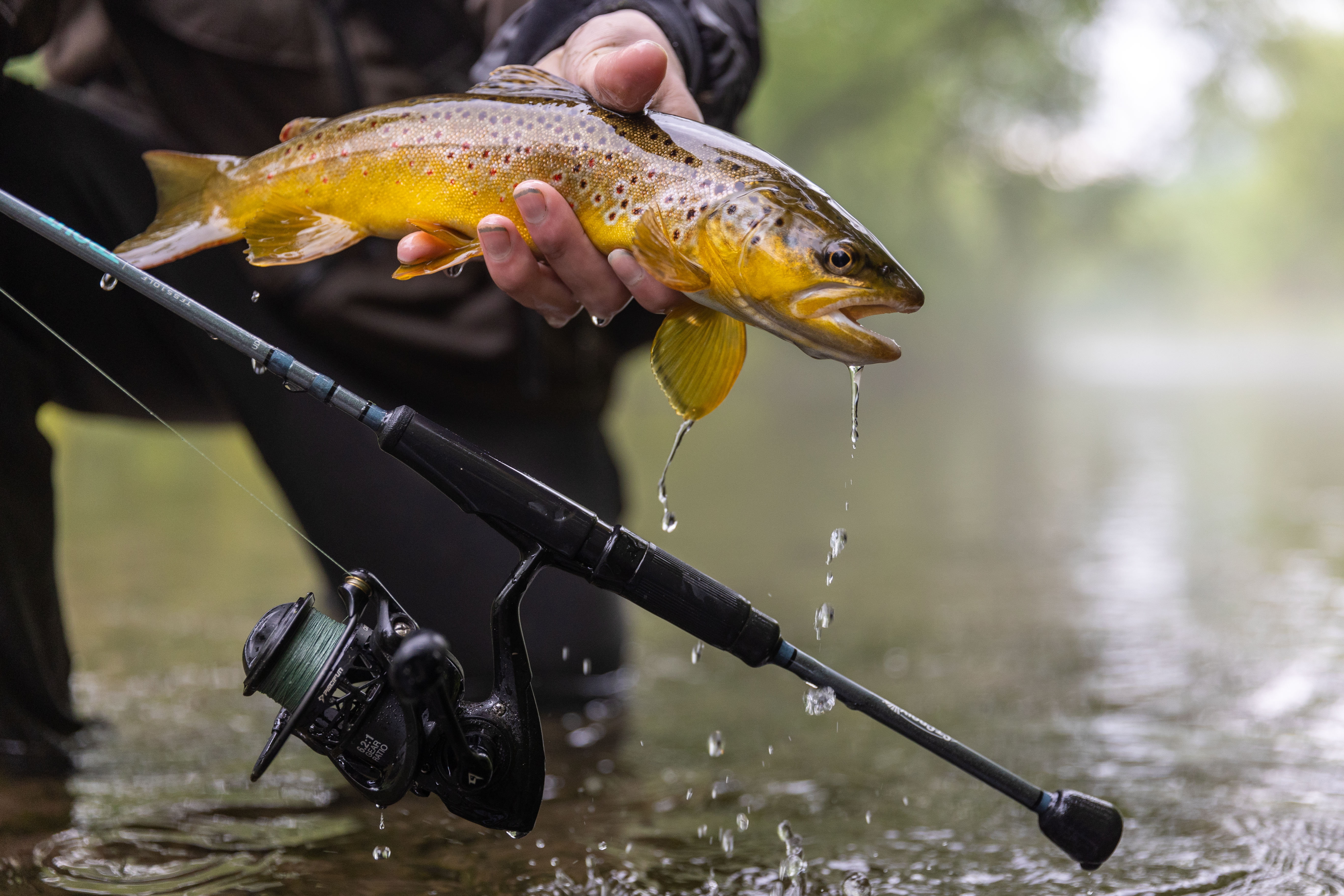 Trout fishing equipment hotsell